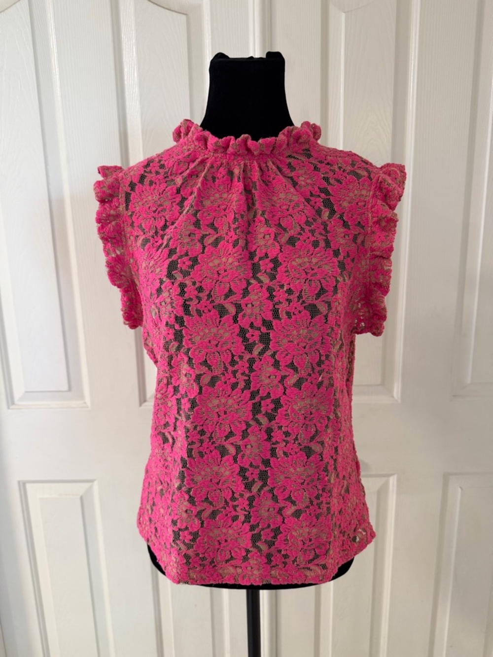 Anthropologie Dolan Sheer Lace Top Blouse Pink Ruffled SZ L Feminine Coquette